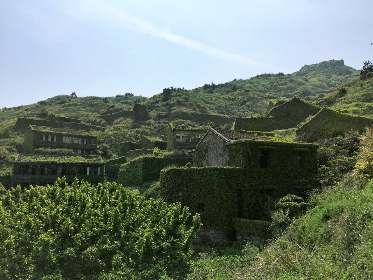 后头湾村,就是现在被人们称为"无人村"的一个小村落