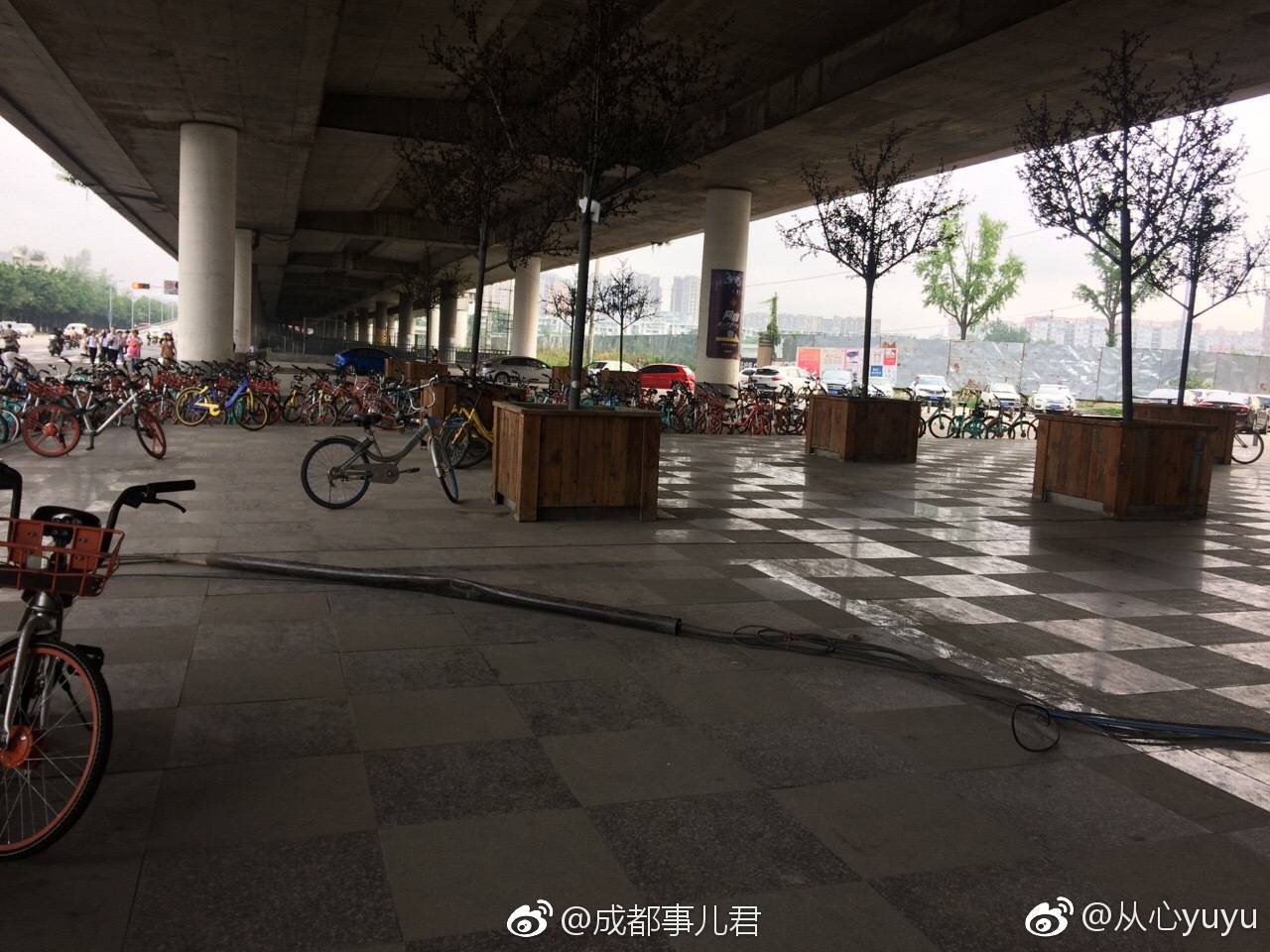 网友爆料:坐标成都石羊场