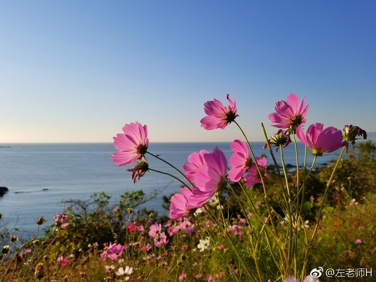 过一个不去拥挤,不去添堵的假日|假日|美好时光|稀土_新浪新闻