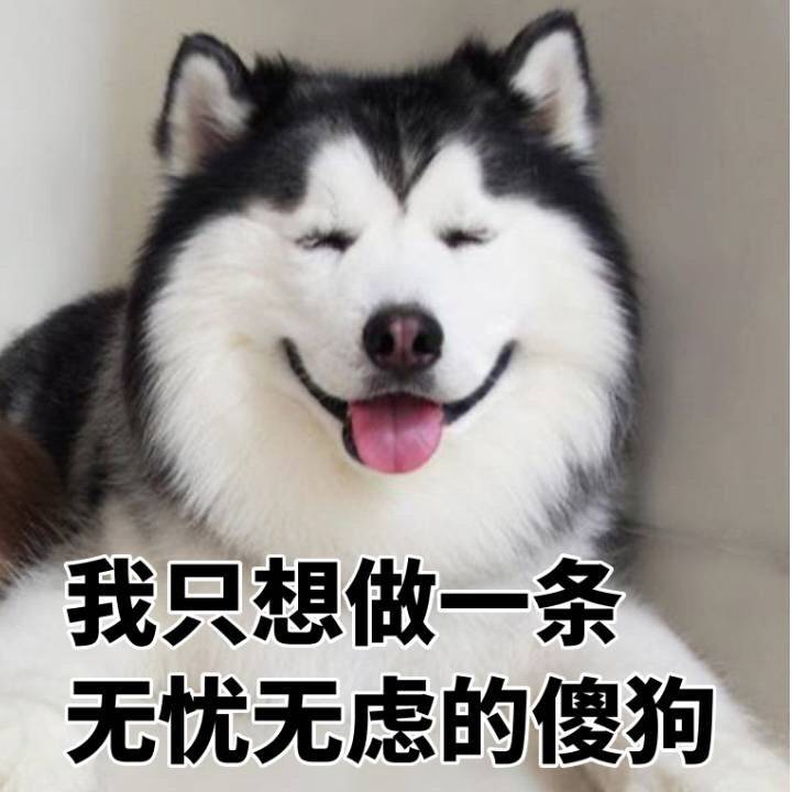 (雨衣)等到放晴的那天|雨衣|狗|叛徒_新浪新闻