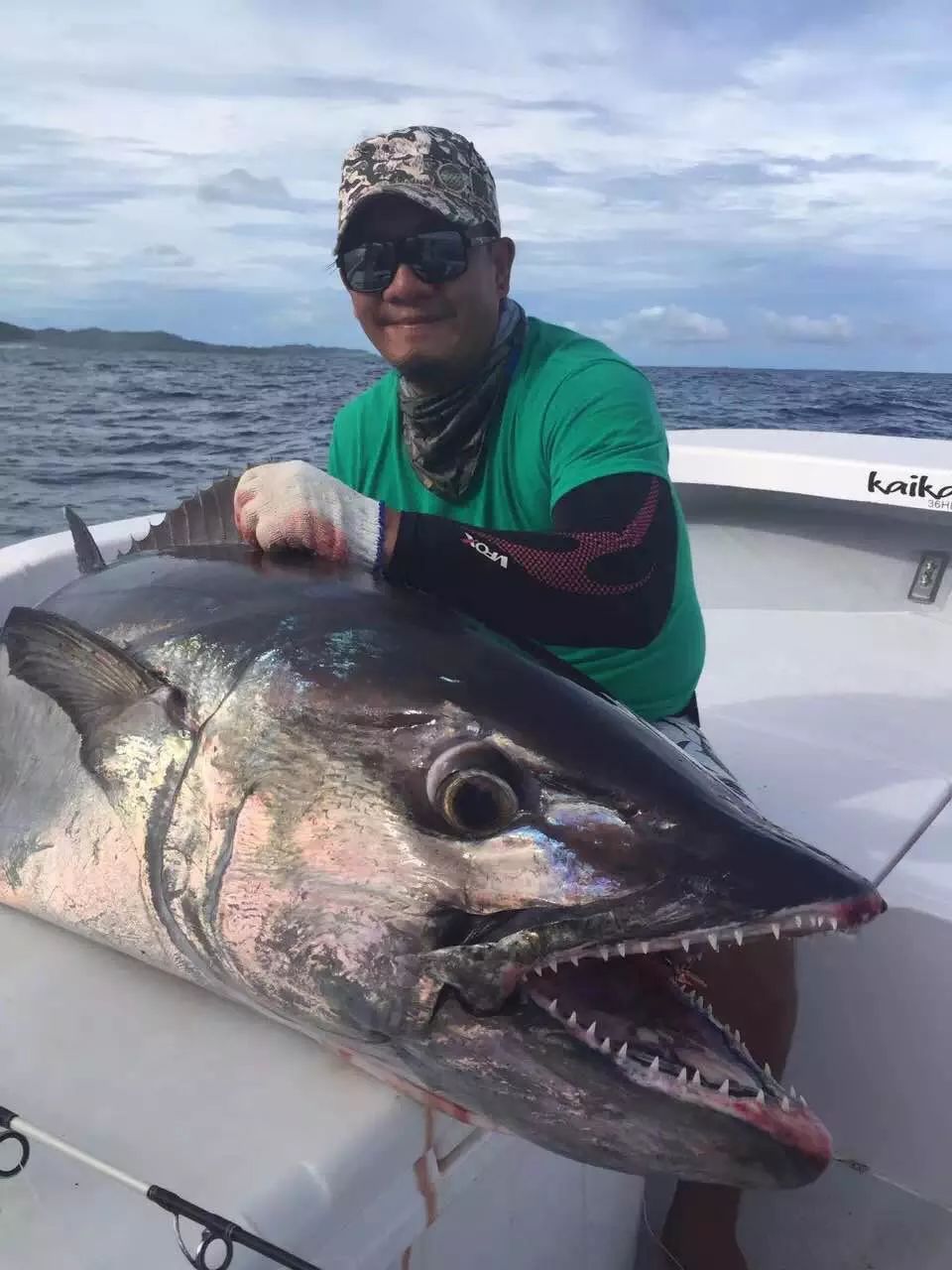 帕劳7天6夜之旅,跟着胖岳去钓鱼