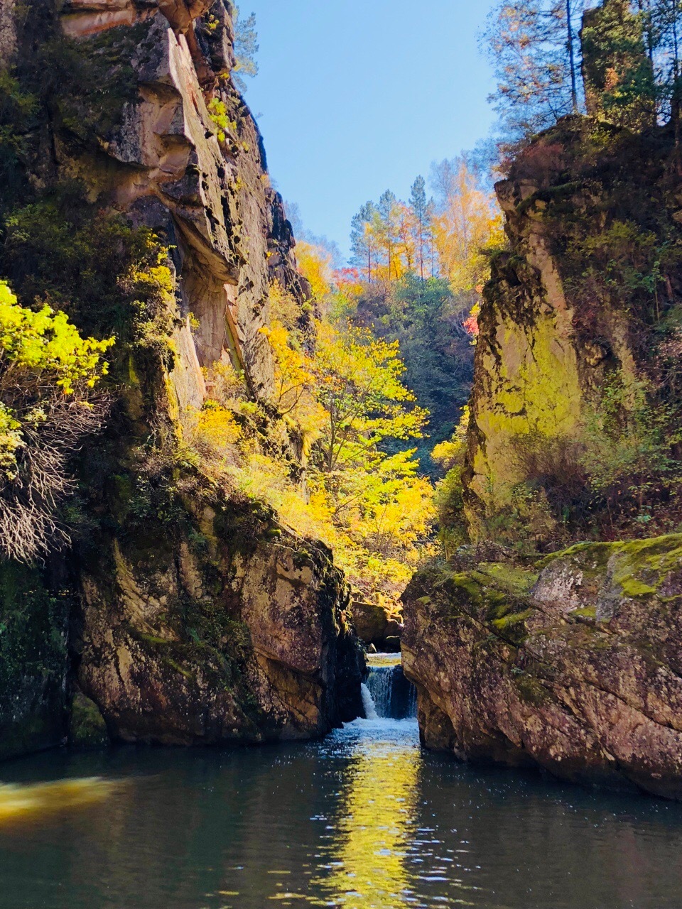 请看嘉荫茅兰沟国家森林公园景区的工作人员为大家带来详细的介绍