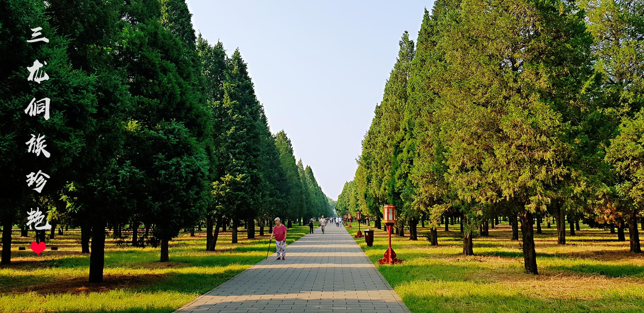 北京必游的天坛公园,原来环境这么美!