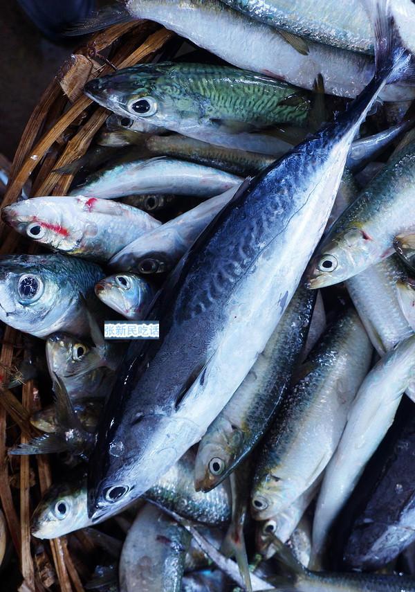 花仙鱼中文名鲐鱼,日本人称为青花鱼.正巴浪鱼中文名蓝圆鲹.