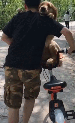 250_409竖版 竖屏gif 动态图 动图