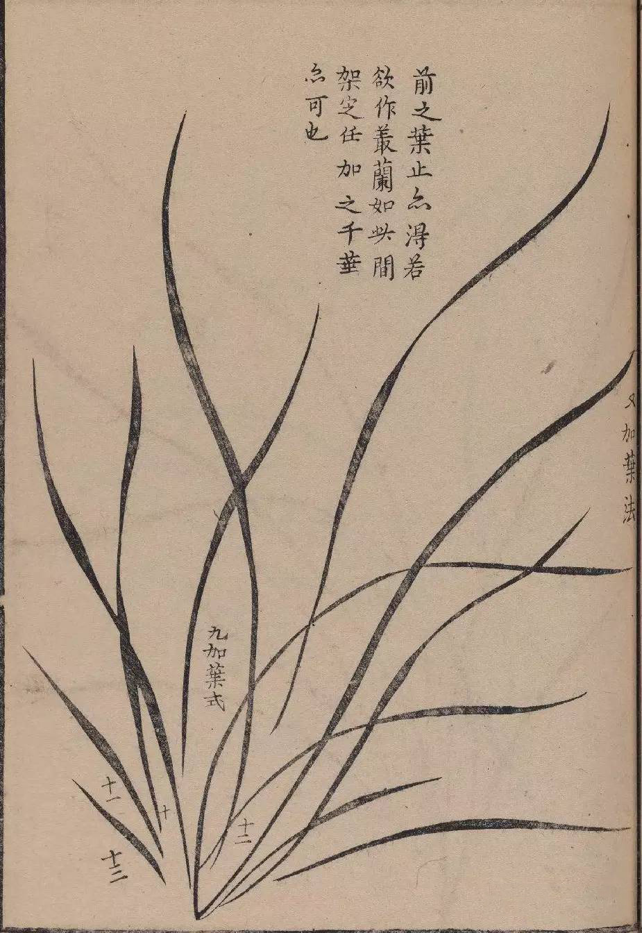 《梅竹兰菊四谱》之兰谱|梅竹兰菊四谱_新浪新闻