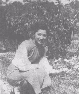 现在都怎么样了?杜月笙表示死也瞑目了