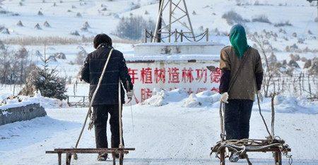 美团招聘不要东北人, 东北人和非东北人都有话