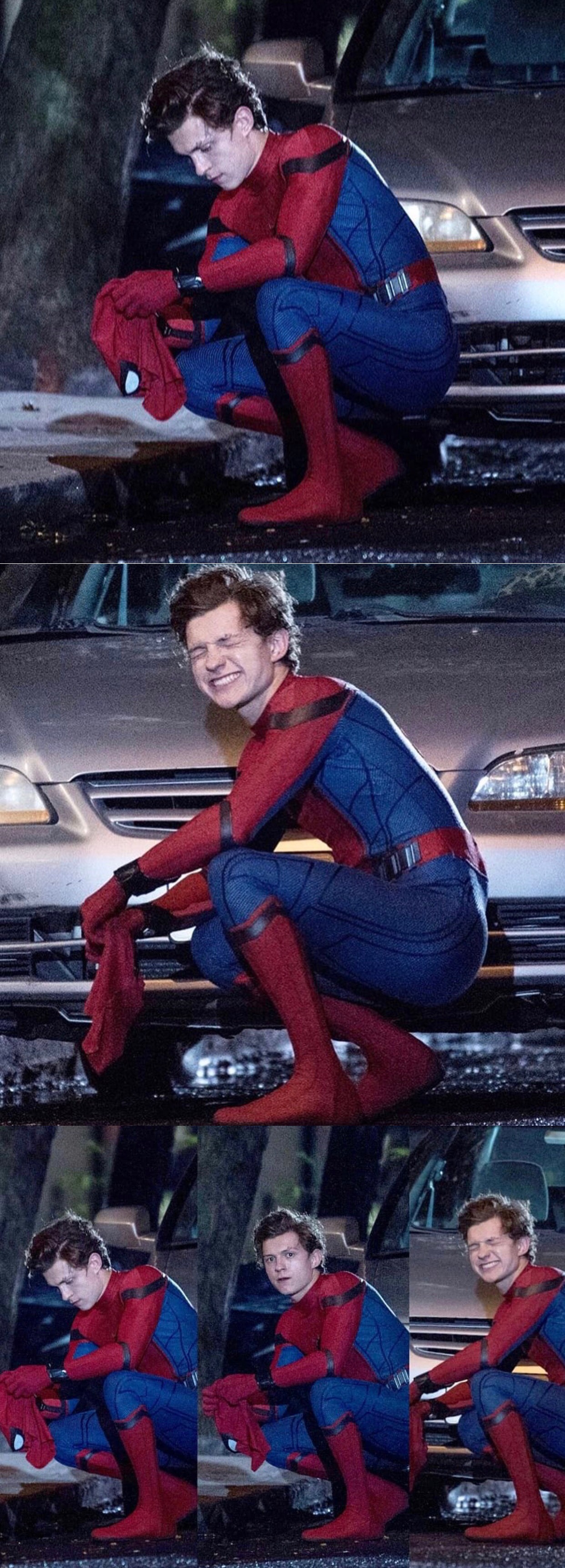 吸一吸奶帅奶帅的小蜘蛛9015荷兰弟也太可爱啦吧 s53 5256