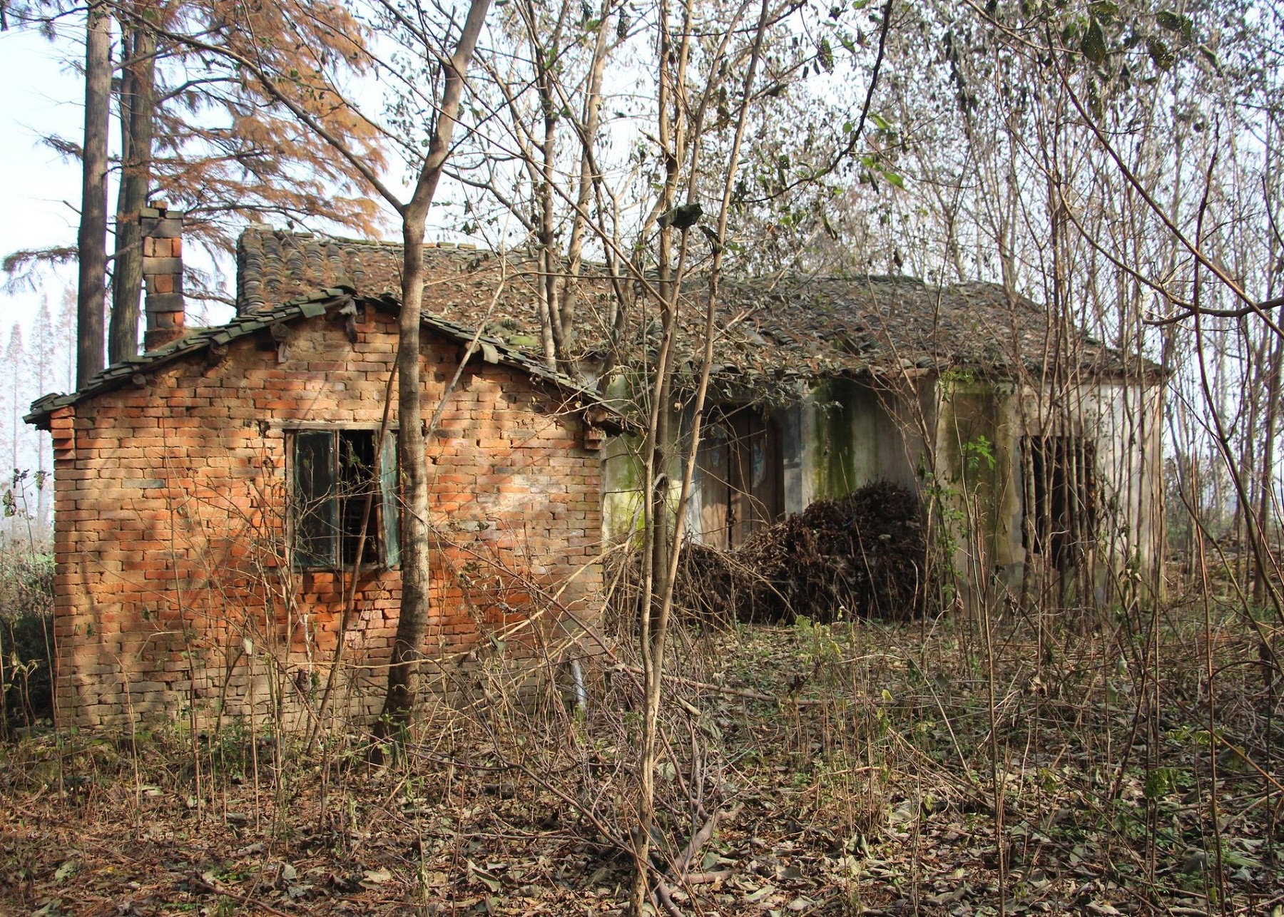 2018年农村宅基地强制收回的几大条件,农民一