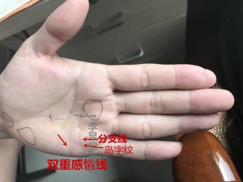 手相三角纹在手富到九十九感情线双重情感多缠绵
