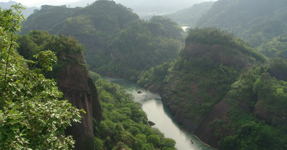 建瓯万木林保护区,福建武夷山国家级自然保护区及漳江口红树林国家级