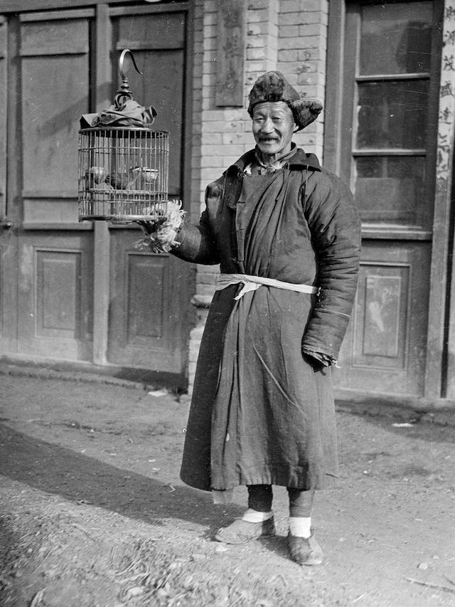 提笼遛鸟从前都是老北京的专属爱好.