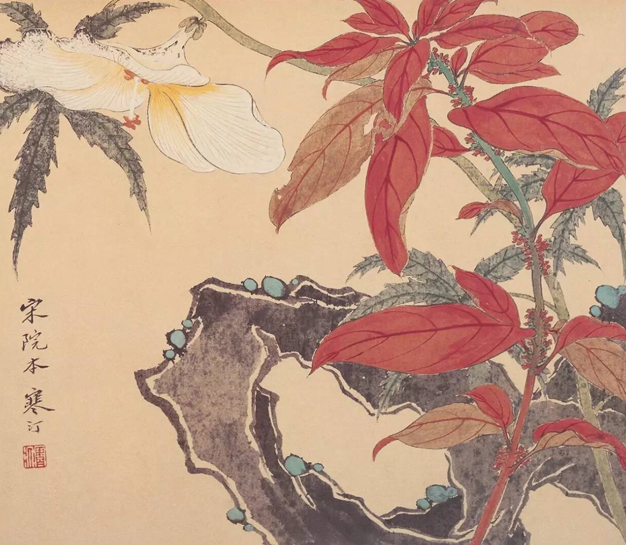 江寒汀 · 花鸟册页欣赏