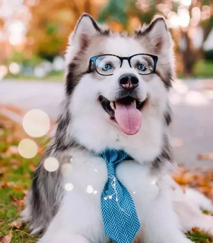 超甜情话合集,撩动你的少女心