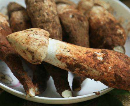 鸡枞,农民把它称为"皇帝菜",七八月份成熟,味道比平常蘑菇鲜美,有点甜