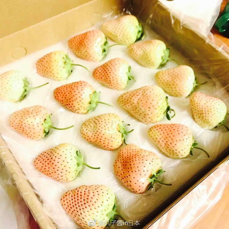 淡雪白草莓这是日本奈良县果农经过长达20多年的研发成果