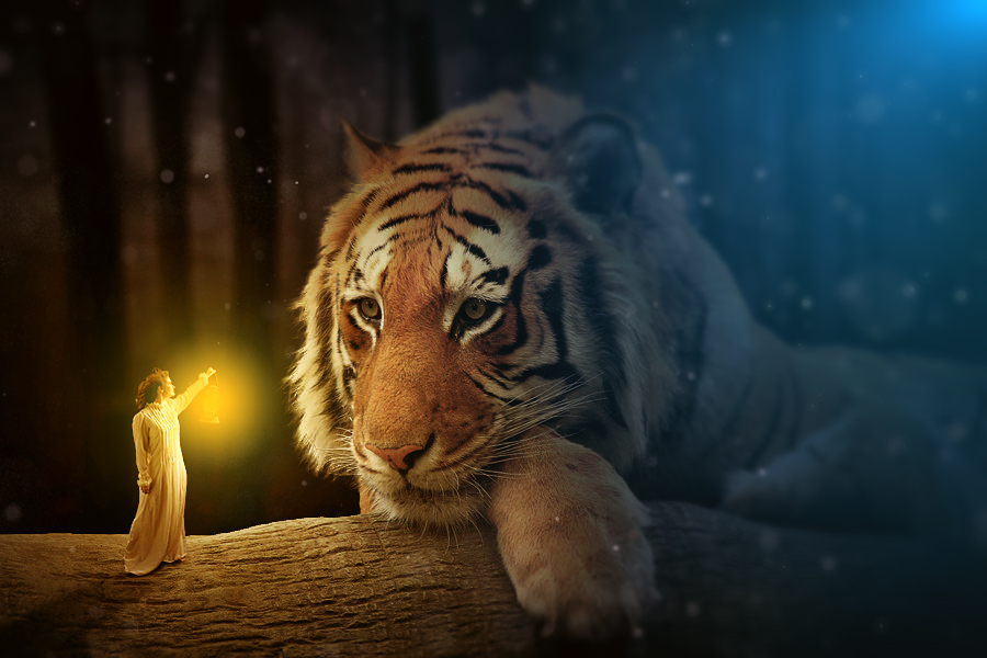 是兴冲冲的去参看动物,没想到一只老虎却让他无法直视,甚至黯然落泪