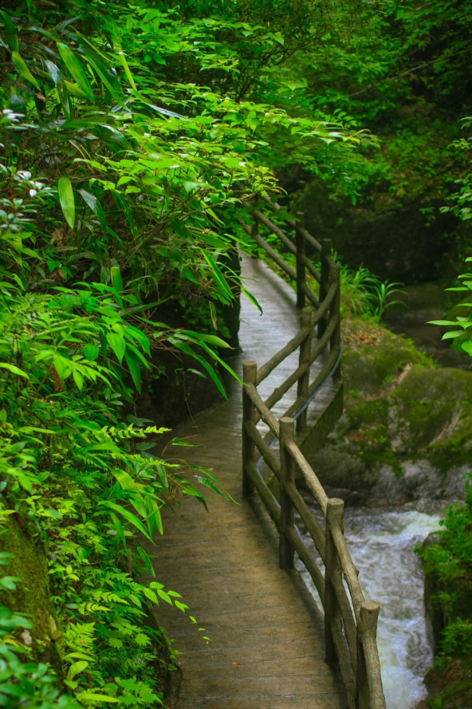 炎炎夏日 钻进深山感受瀑布的清凉