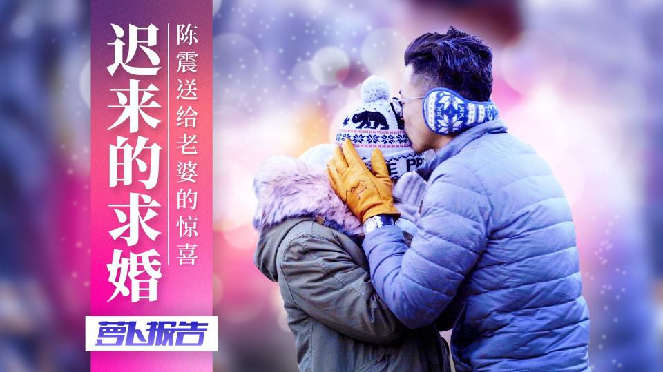 迟来的求婚,陈震送给老婆的惊喜(下)