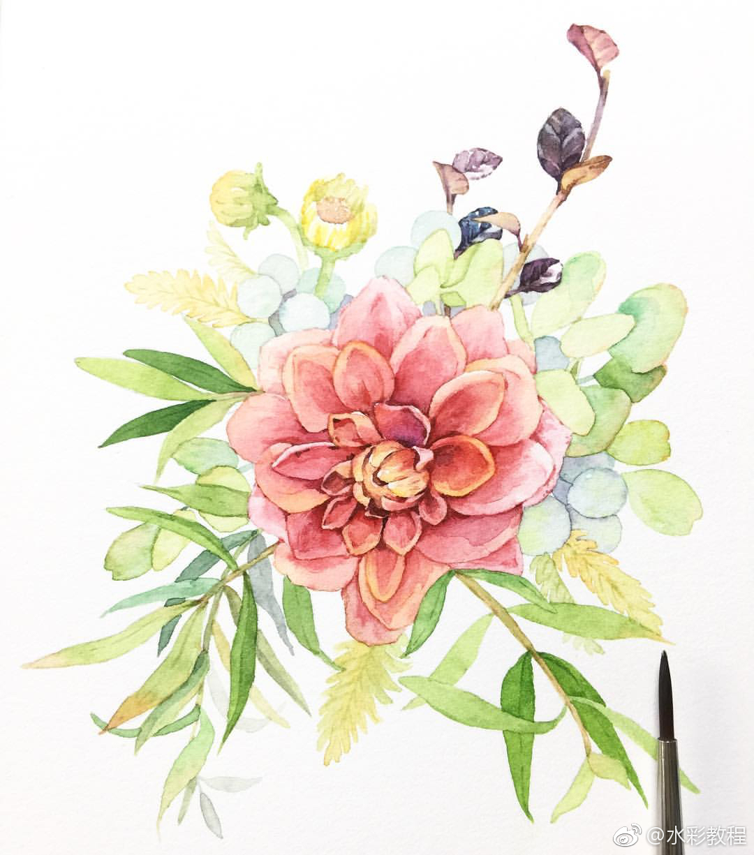 水彩植物类作品欣赏byinssentiday