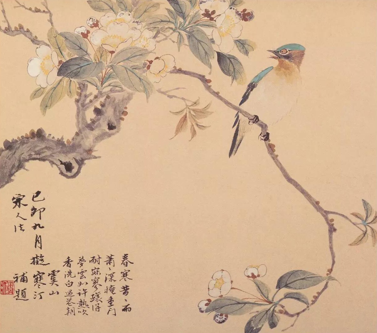 江寒汀 · 花鸟册页欣赏