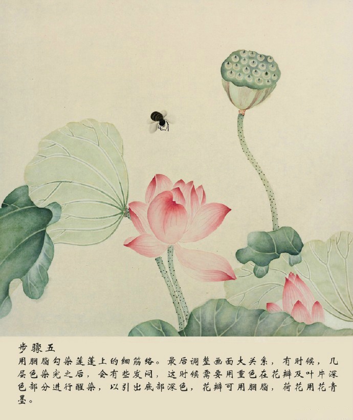 《荷花图》,清,吴应贞.此图荷花清丽,多姿多态