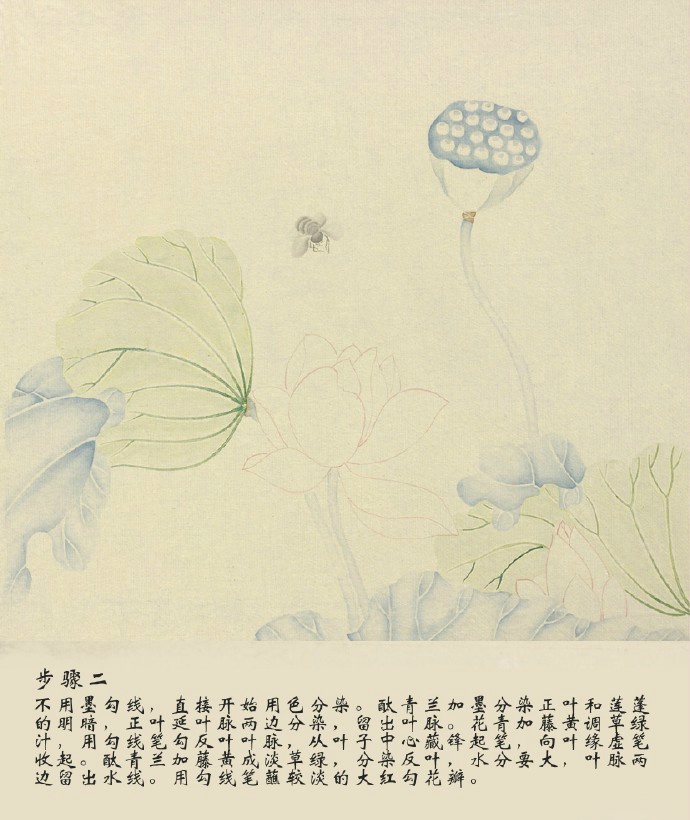 《荷花图》,清,吴应贞.此图荷花清丽,多姿多态