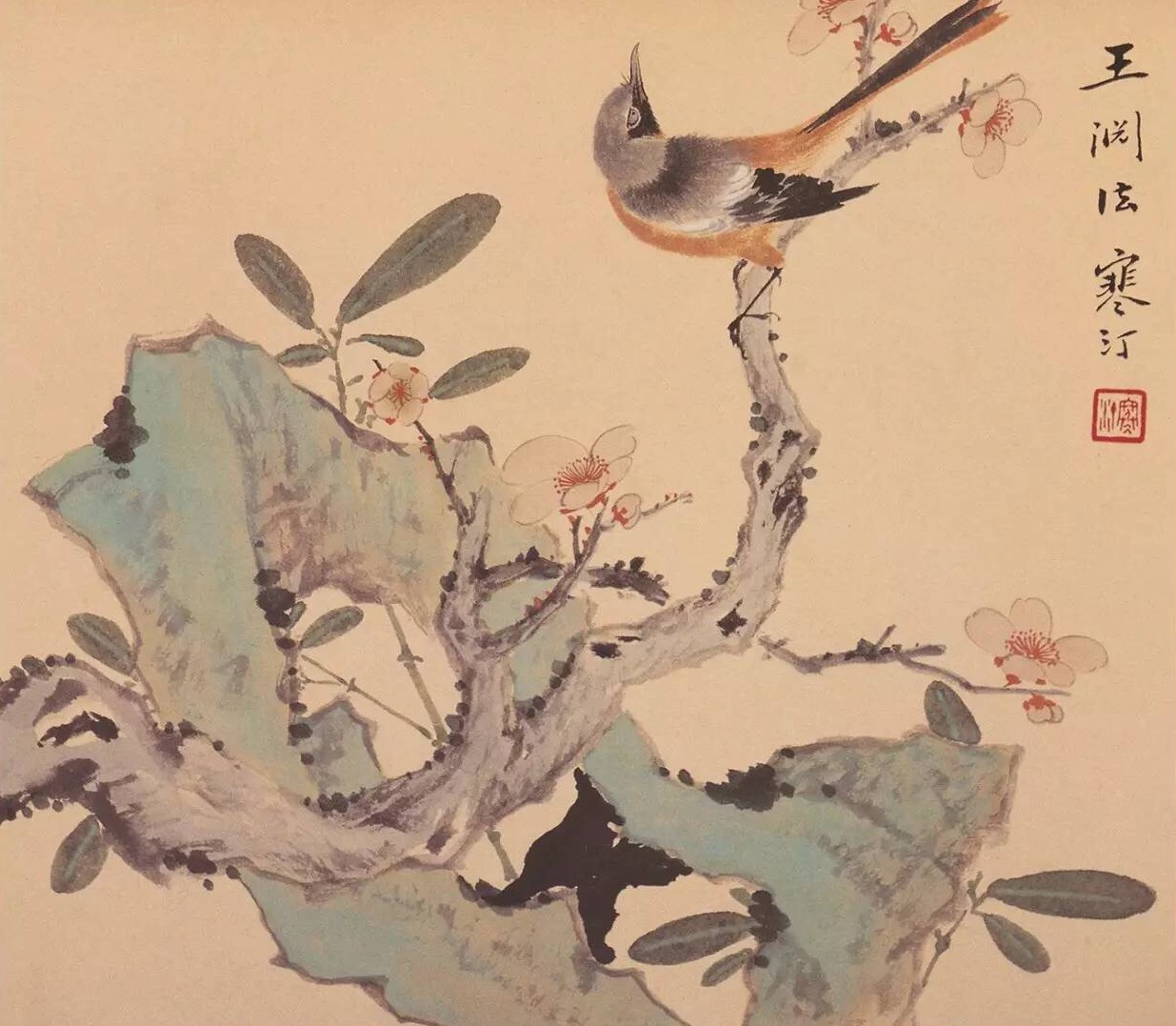 江寒汀 · 花鸟册页欣赏