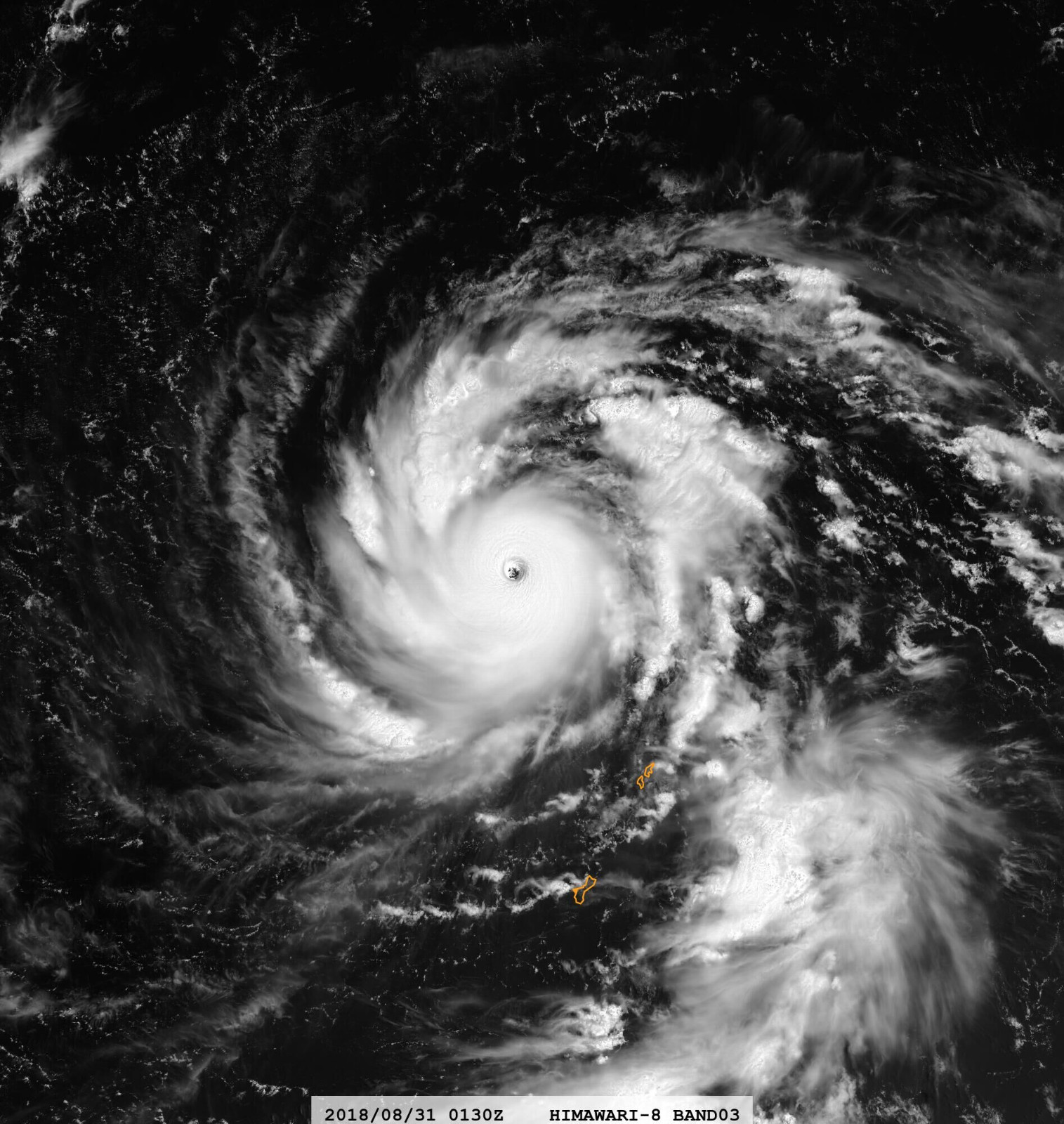 越美丽越危险气象卫星云图上的超强台风飞燕