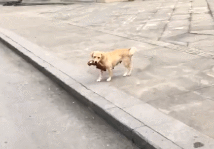422_294gif 动态图 动图