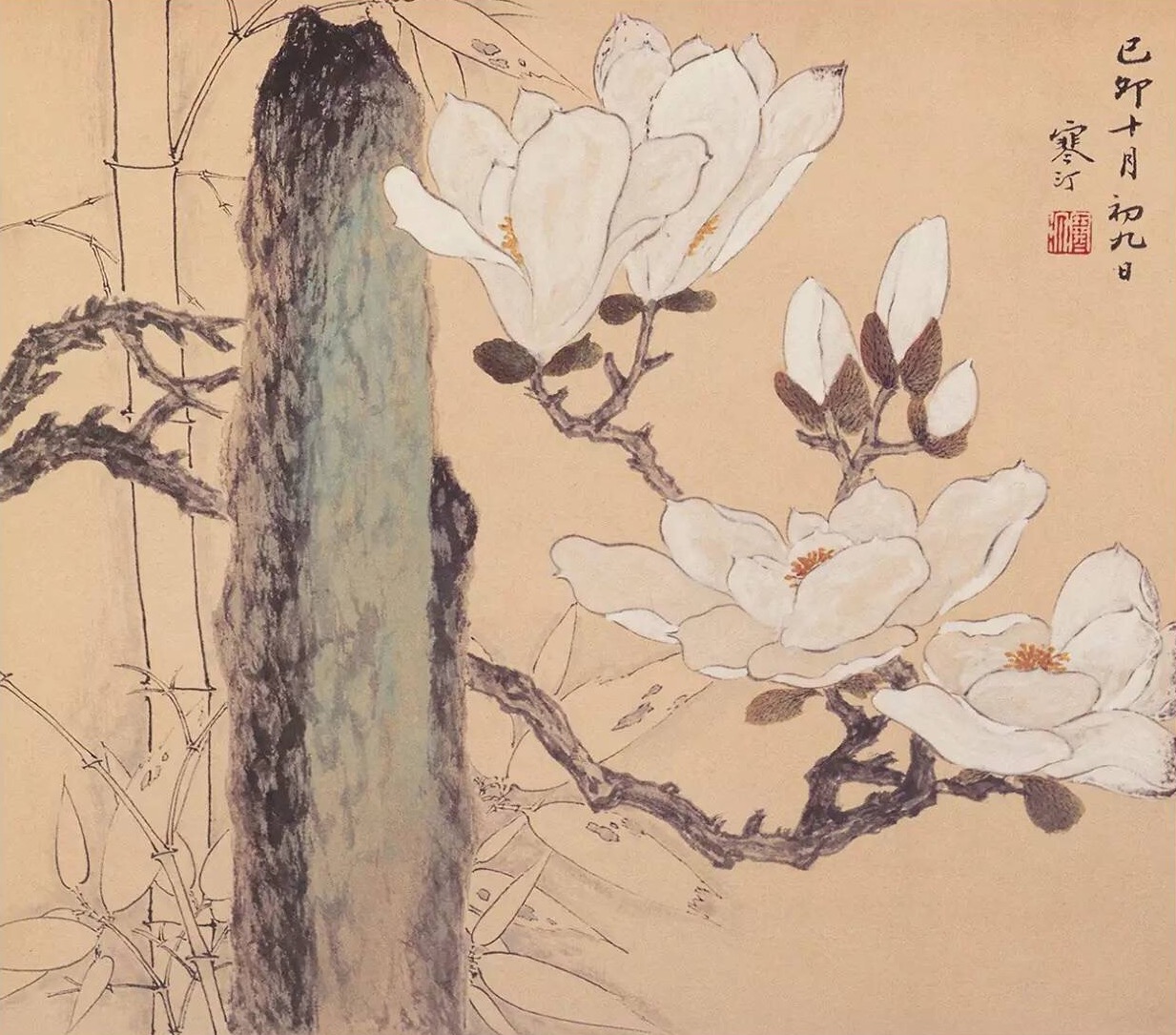 江寒汀 · 花鸟册页欣赏