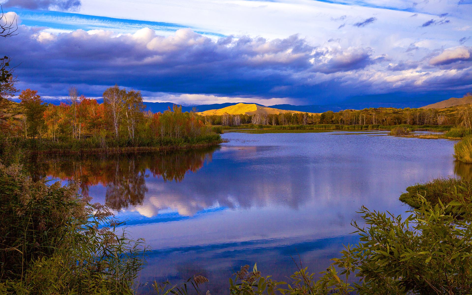 蓝天净湖野荷,白沙芦苇红枫,哈巴河白沙湖