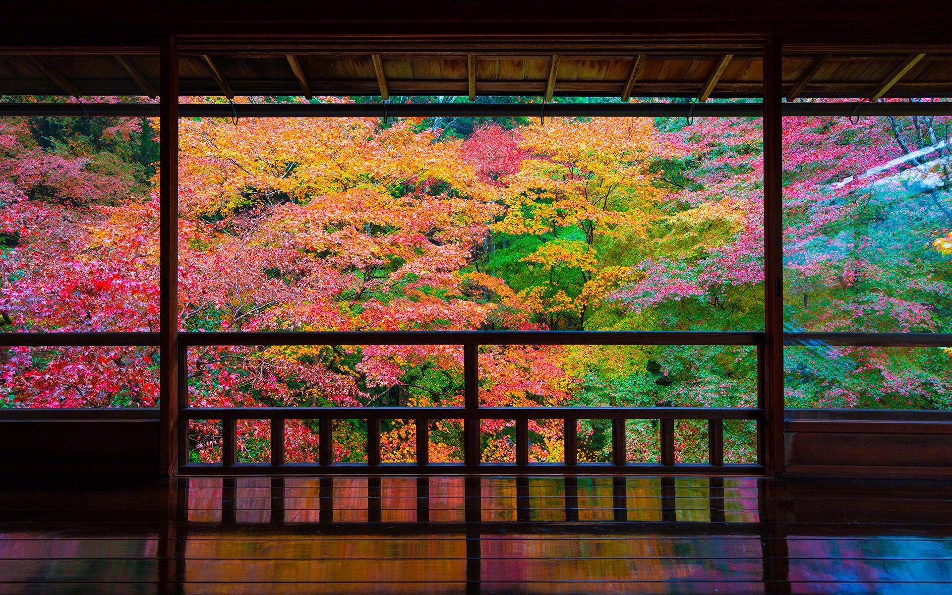 京都的琉璃光院只因美到窒息的景每年不得不外对开放两次