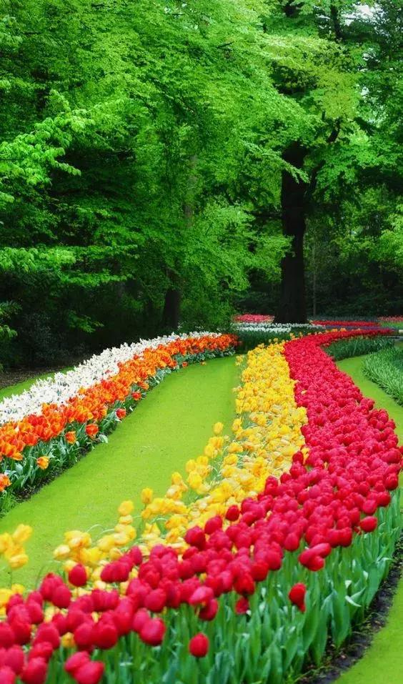 花路!花路!花路!花路!花路!花路!花路!花路!花路!