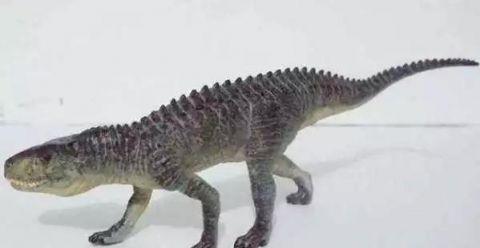 同宗不同命有的鳄鱼一辈子都是鳄鱼有的鳄鱼却进化成了鳄龙