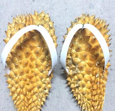 探访泰国,关于榴莲那么臭还那么贵的真正原因你真的知道吗?