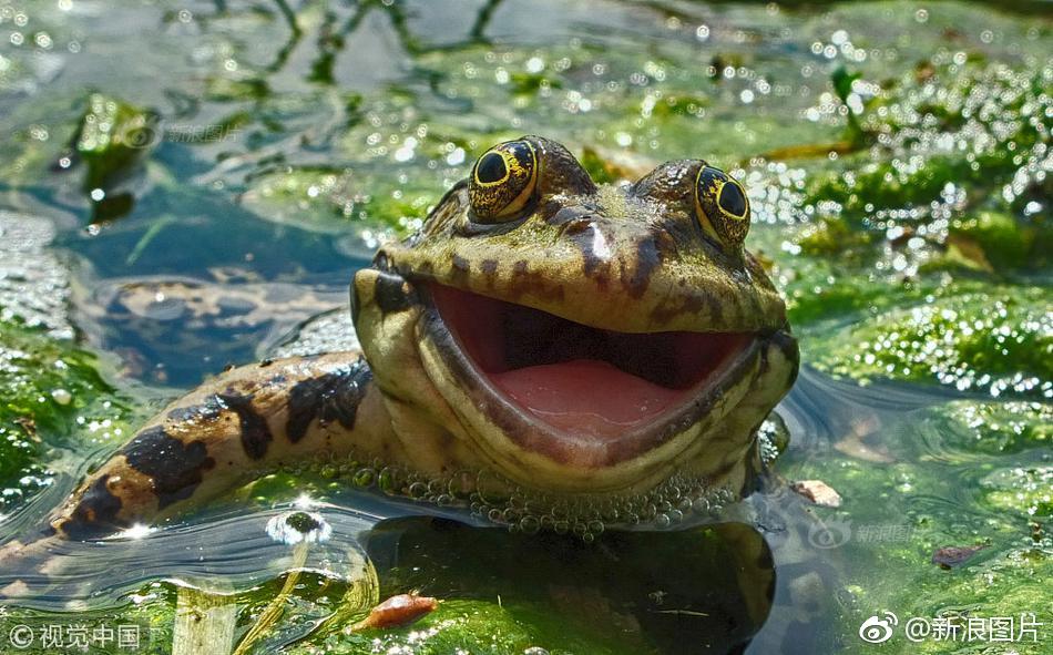 微笑不是人类特有的表情,小动物有时也会露出蜜汁微笑,同样治愈