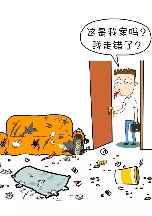二哈拆家,主人大怒,结果