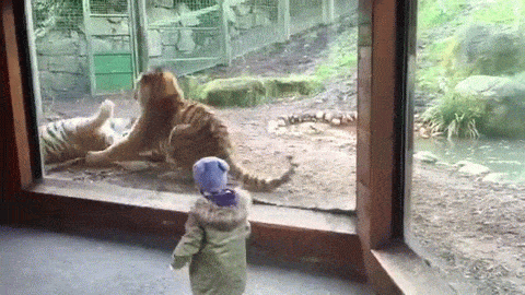 480_270gif 动态图 动图