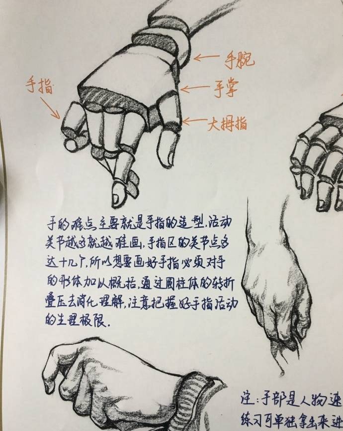 速写手部结构详解,送给学速写的童鞋们! |速写|手部|童鞋_新浪新闻