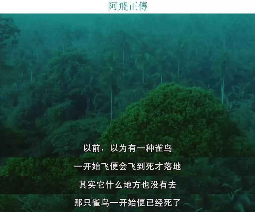 阿飞正传漂泊的无脚鸟背后是一个远去的辉煌年代