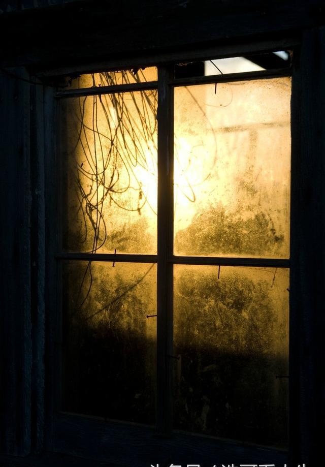 半夜敲窗户玻璃的人,让我误解了母亲十年