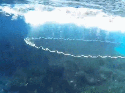 海中撒网,水下的渔网散开后看起来像水母一样漂亮,好神奇