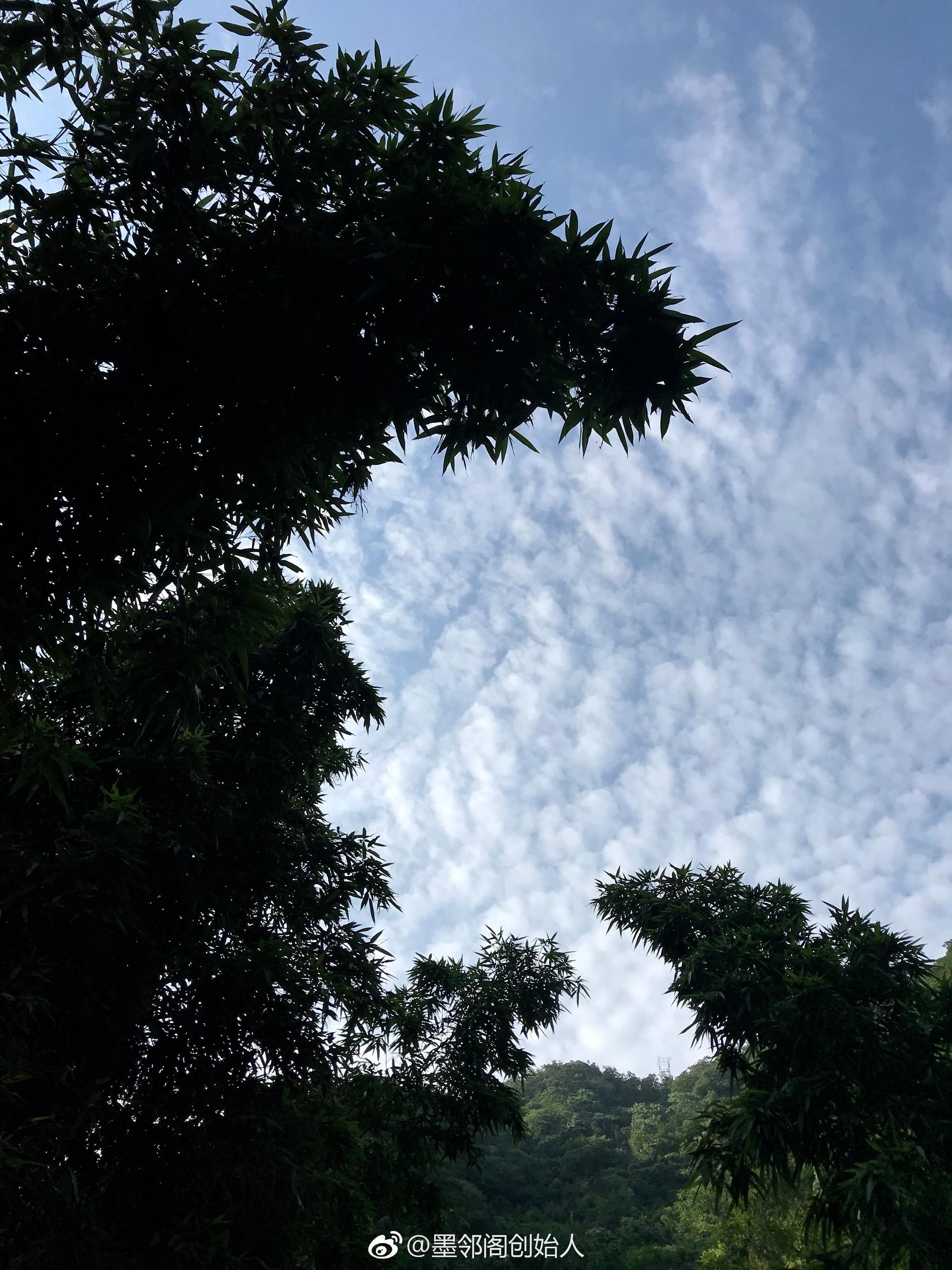 碧水青山核桃林·太湖源头饮山泉