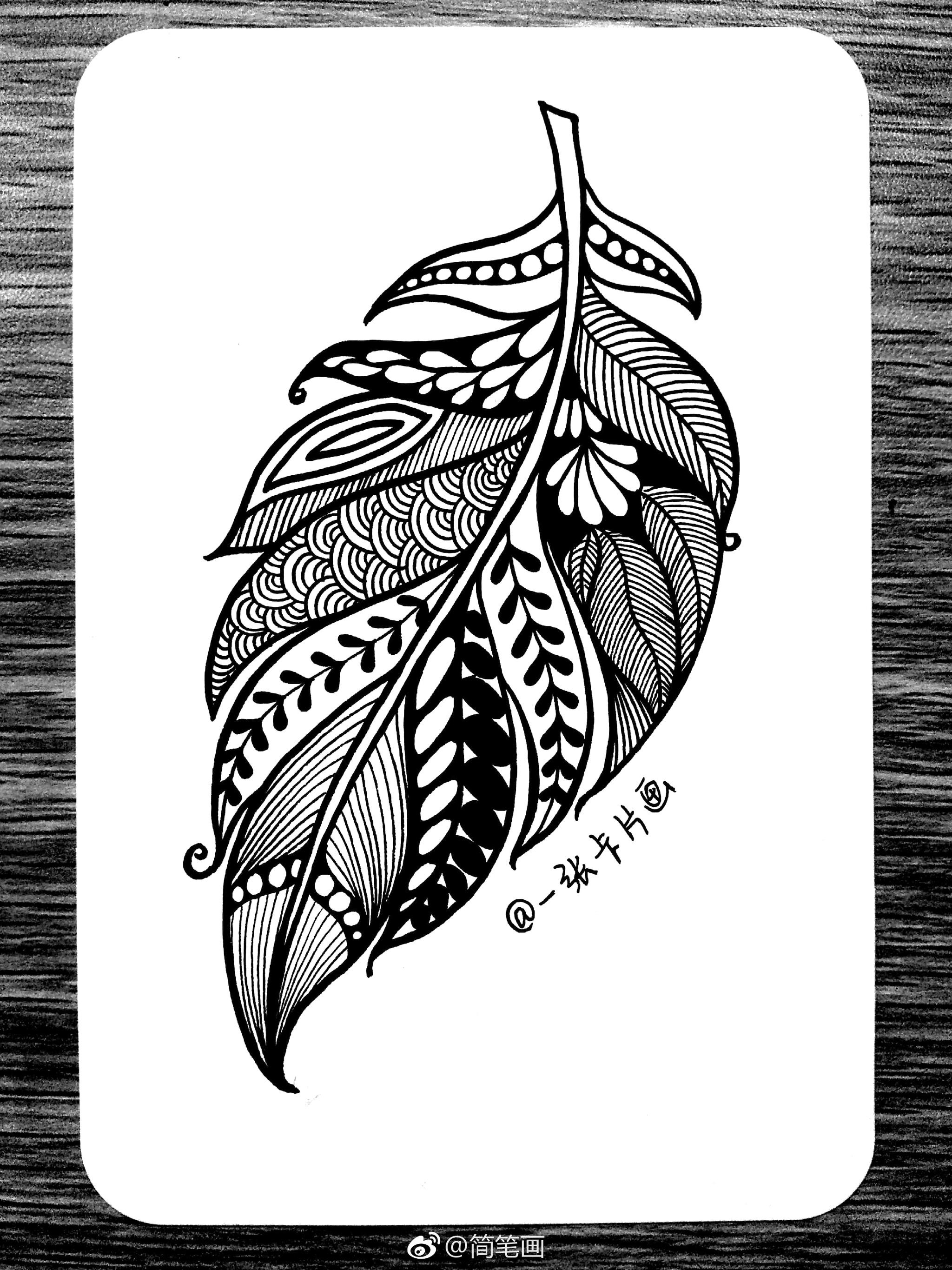 一组羽毛禅绕画投稿一张卡片画