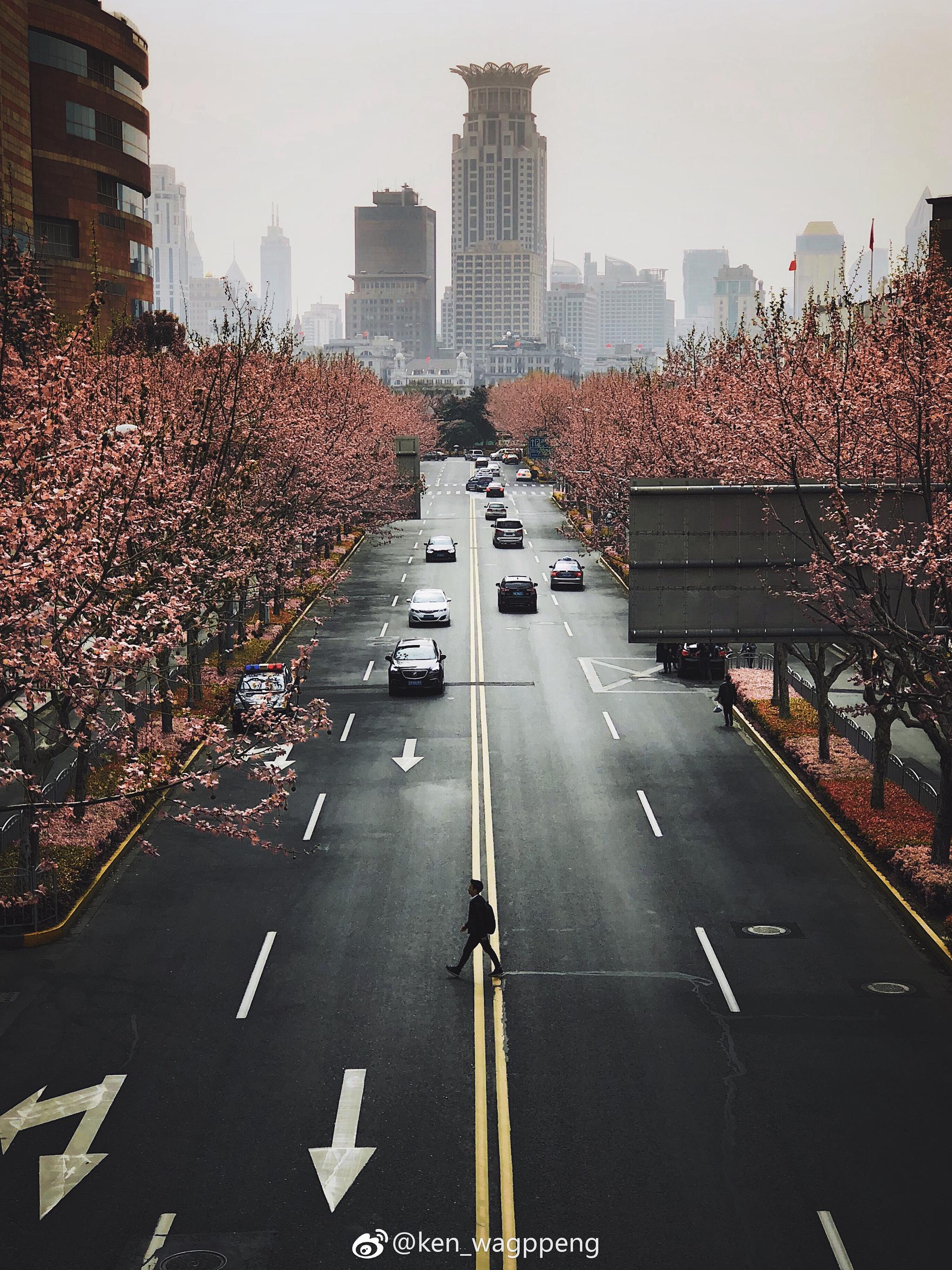 手机摄影 | 城市街头@ken_wagppeng|摄影|手机摄影|城市_新浪新闻