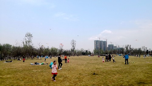 四川这的块草坪神器,不怕大家前来踩!