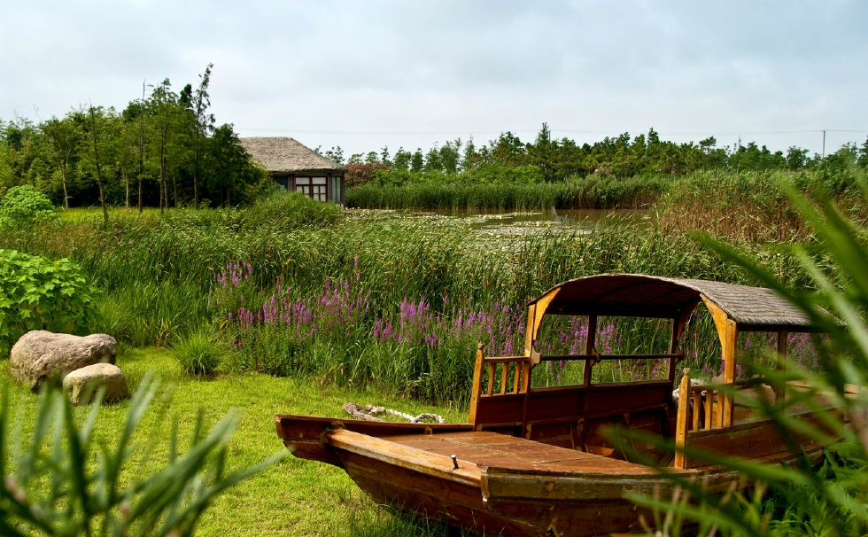 上海崇明岛东滩湿地,国内唯一一处与候鸟保护区相邻的湿地公园