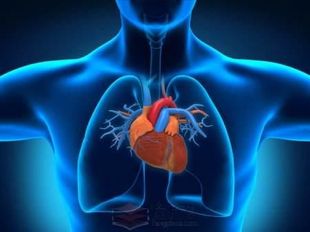 心内科主任心脏供血不足可能是这6个原因3个方法科学防治